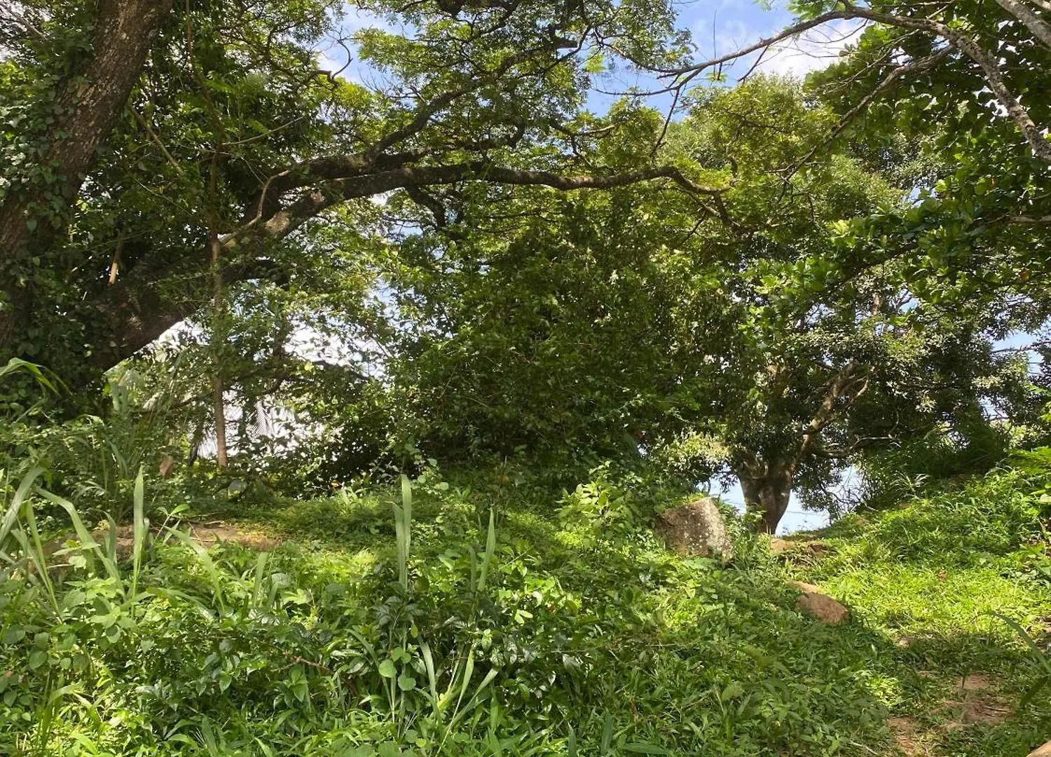 Mountain Breeze Residence Kandy Villa